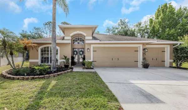 4604 Purple Tiger Court, LUTZ, FL 33558