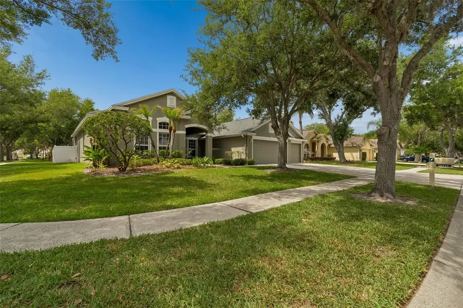 10243 Shadow Branch Drive, Tampa, FL 33647 - #3