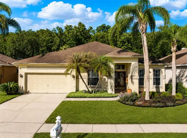 29520 Forest Glen Drive, WESLEY CHAPEL, FL 33543