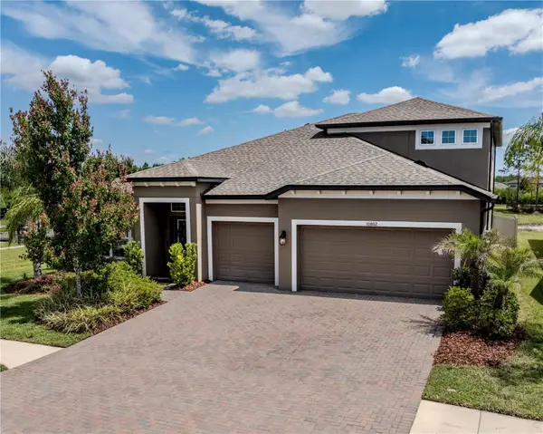 10802 Rolling Moss Road, TAMPA, FL 33647
