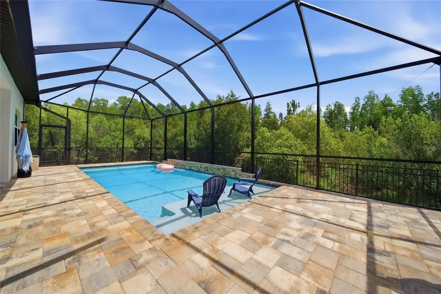 30567 Chesapeake Bay Drive, Wesley Chapel, FL 33543 - #2