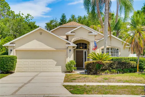 10236 Charleston Corner Road, TAMPA, FL 33635
