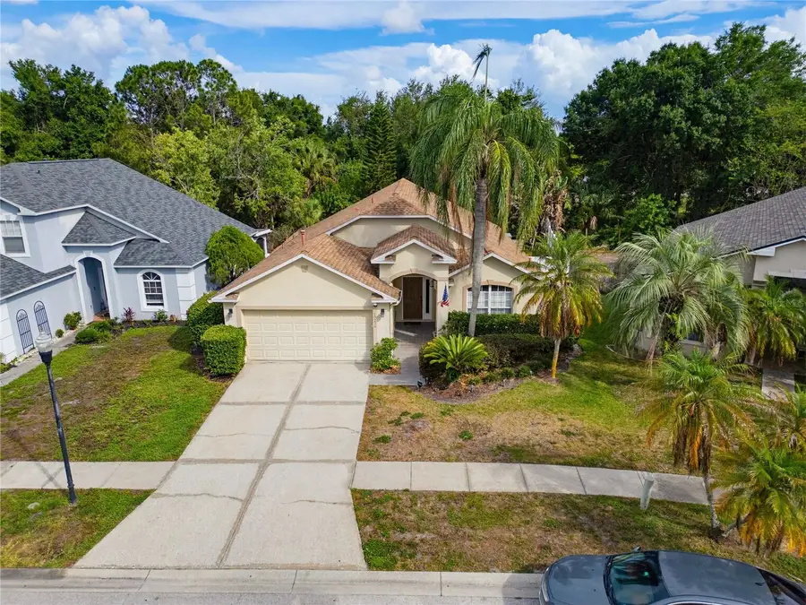 10236 Charleston Corner Road, Tampa, FL 33635 - #3