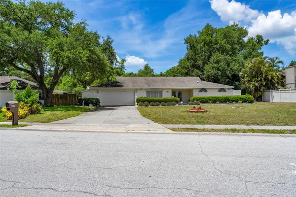 207 Dunbridge Drive, PALM HARBOR, FL 34684