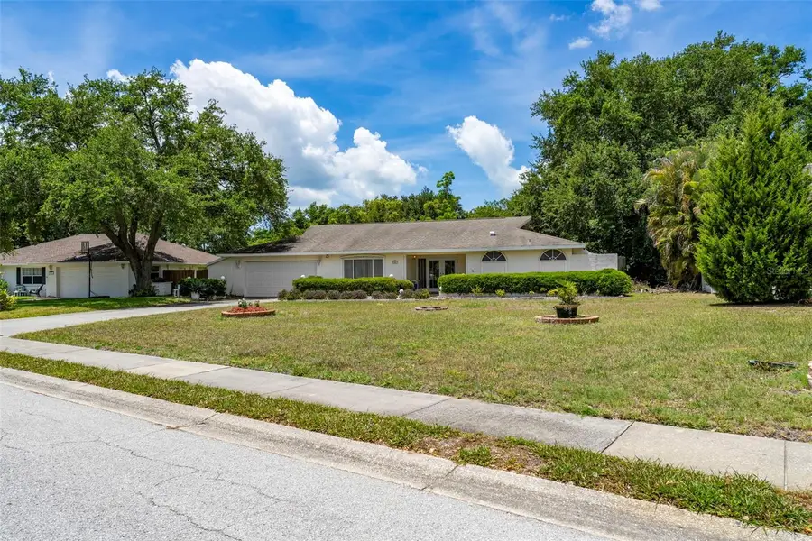 207 Dunbridge Drive, Palm Harbor, FL 34684 - #3