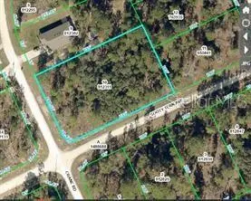 16200 Crane Road, WEEKI WACHEE, FL 34614