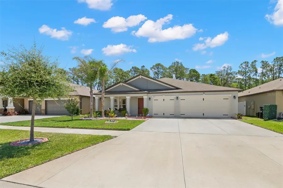 13511 Willow Bluestar Loop, Riverview, FL 33579 - #3