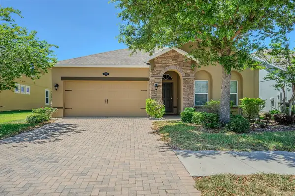 1667 Nature View Drive, LUTZ, FL 33558