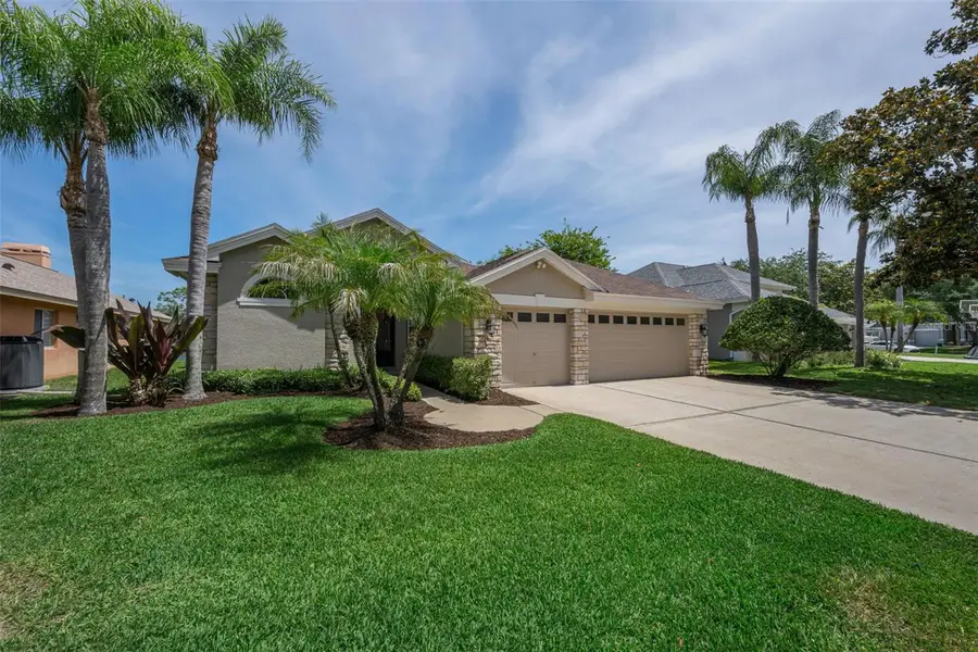 2993 Northfield Drive, Tarpon Springs, FL 34688 - #2