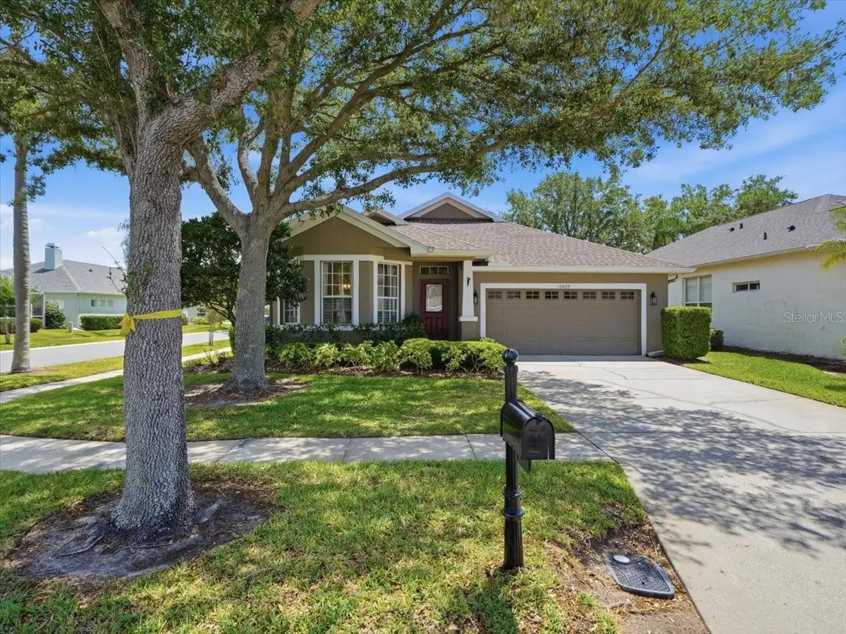 19409 Golden Slipper Place, Lutz, FL 33558 - #1