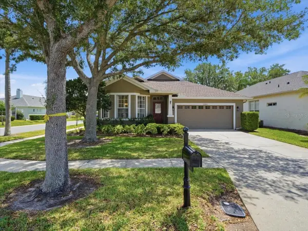 19409 Golden Slipper Place, LUTZ, FL 33558