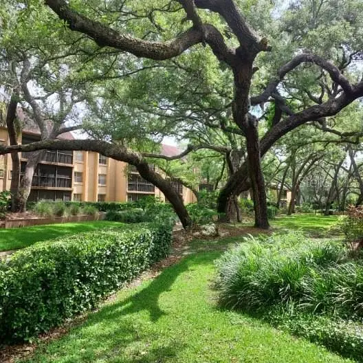 14111 Mossy Glen Lane #101C, Tampa, FL 33613 - #2