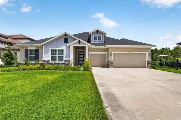 16181 November Rain Court, LAND O LAKES, FL 34638