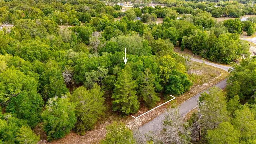 Magnolia Drive, Ocklawaha, FL 32179 - #2