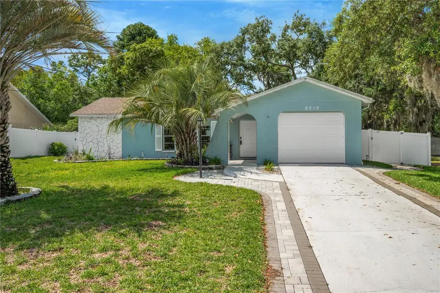 8218 Placid Street, Spring Hill, FL 34606 - #3