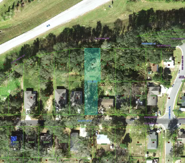 1935 W Elliott Street, LAKELAND, FL 33805