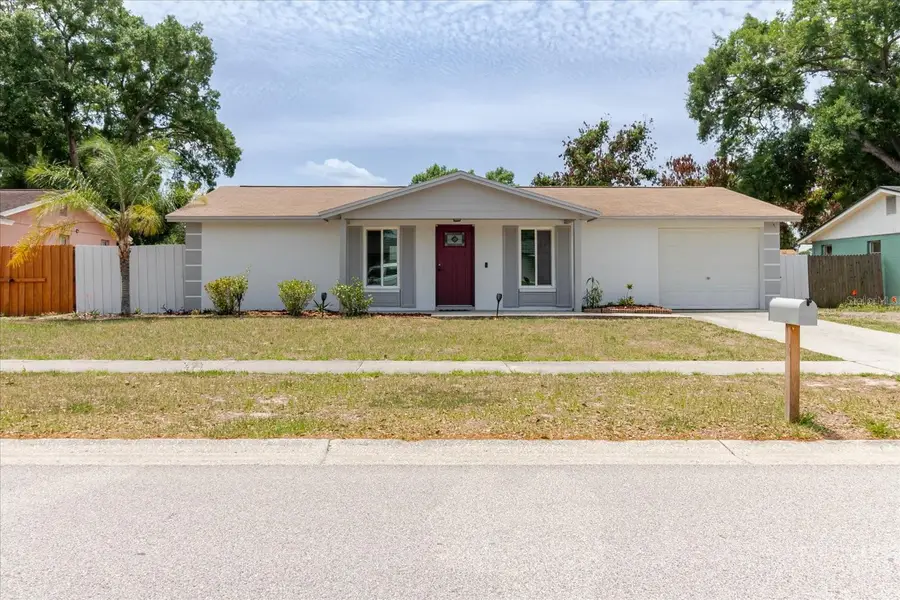 2207 Selkirk Street, Valrico, FL 33594 - #3