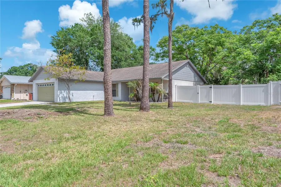 3619 Orangepointe Road, Valrico, FL 33596 - #2