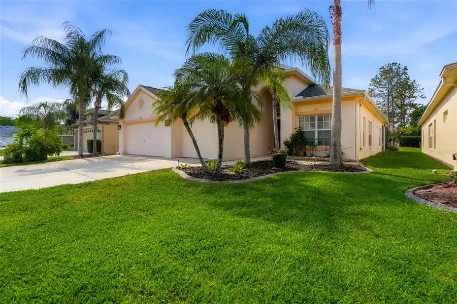 23908 Hastings Way, Land O Lakes, FL 34639 - #3