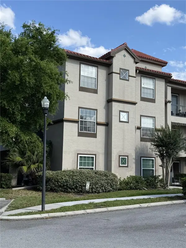 18101 Peregrines Perch Place #4201, LUTZ, FL 33558