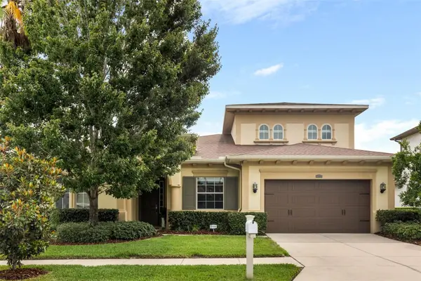 32074 Pinfeld Drive, WESLEY CHAPEL, FL 33543