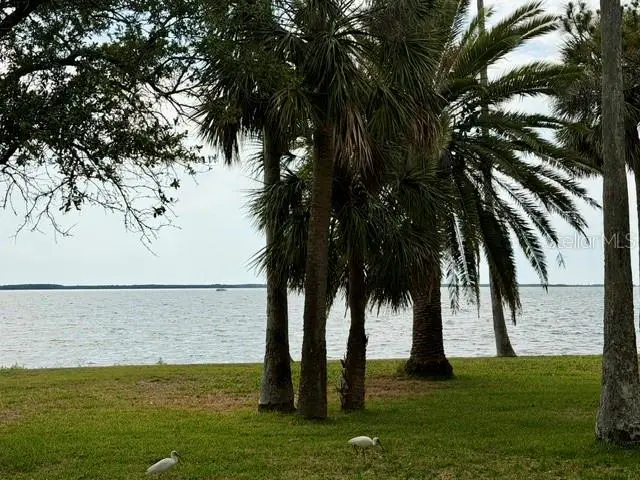 1700 Santa Barbara Drive, Dunedin, FL 34698 - #2