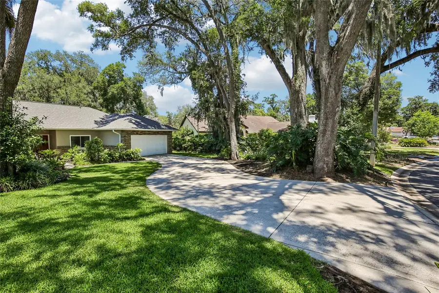 2754 Buckhorn Oaks Drive, Valrico, FL 33594 - #3