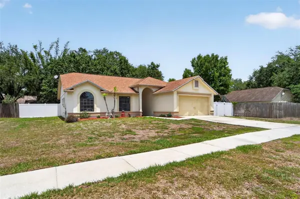 12014 Vermillion Way, RIVERVIEW, FL 33569