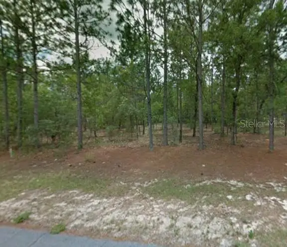 1204 W Fan Drive, Citrus Springs, FL 34434 - #1