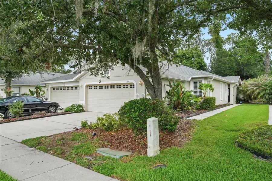 3244 Chapel Creek Circle, Wesley Chapel, FL 33544 - #2