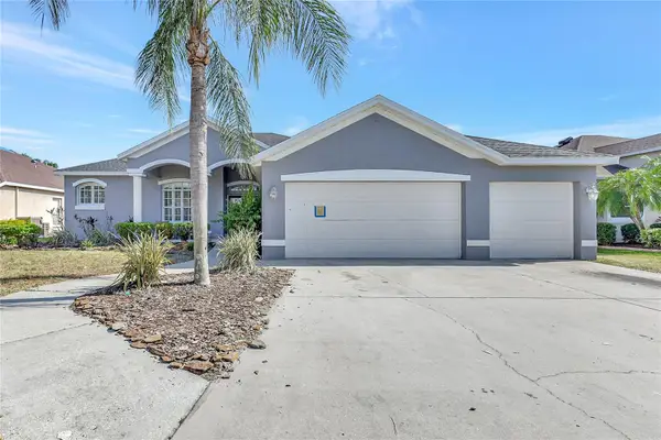 2863 Duncan Tree Circle, VALRICO, FL 33594