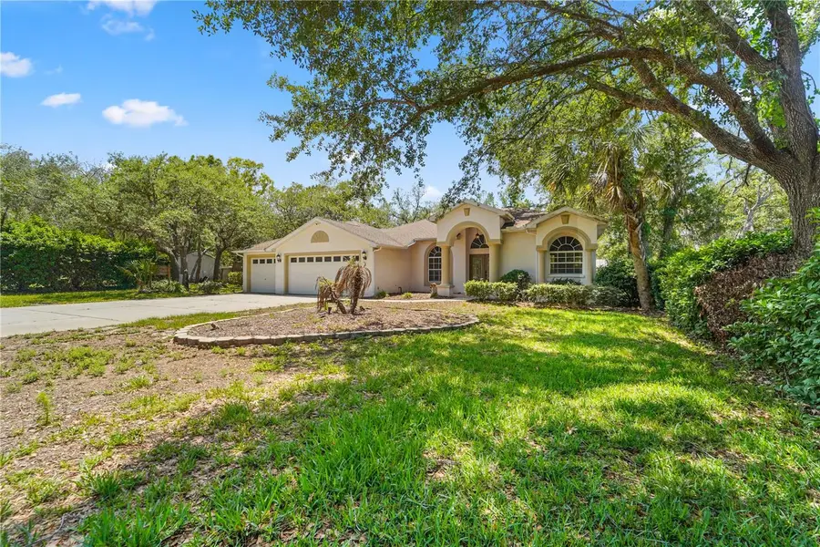 9183 Nightingale Road, Weeki Wachee, FL 34613 - #2