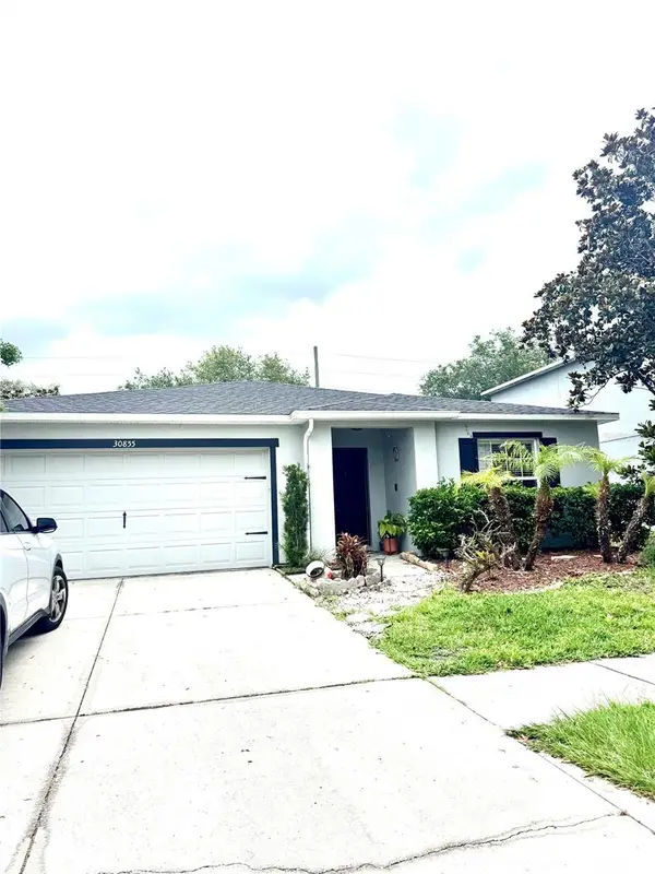 30855 Temple Stand Avenue, WESLEY CHAPEL, FL 33543
