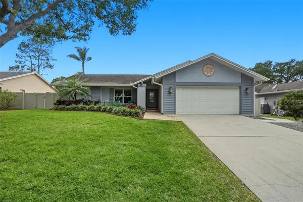 5015 Bridgeport Drive, SAFETY HARBOR, FL 34695