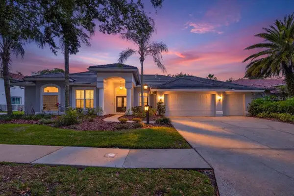 17820 Osprey Pointe Place, TAMPA, FL 33647
