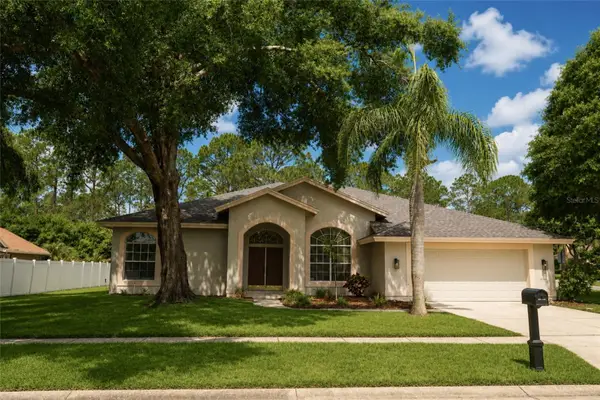 17316 Hialeah Drive, ODESSA, FL 33556