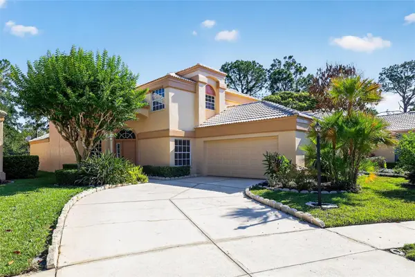 9314 Fairway Lakes Court, TAMPA, FL 33647