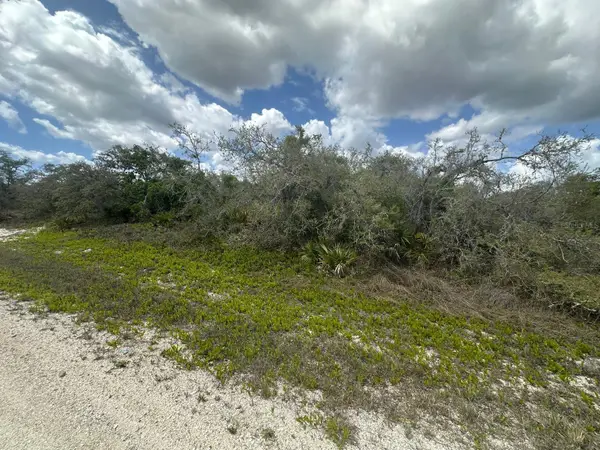 130 Vagabond Avenue, LAKE PLACID, FL 33852
