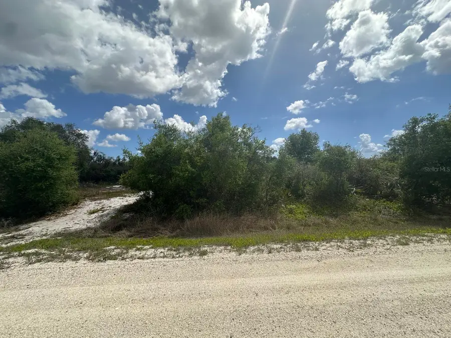 130 Vagabond Avenue, Lake Placid, FL 33852 - #2