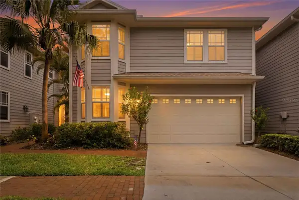 2869 Bayshore Trails Drive, TAMPA, FL 33611