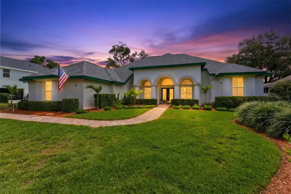 3406 Sylvan Shadow Street, VALRICO, FL 33596
