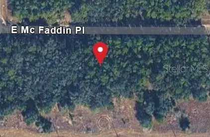 389 E Mc Faddin Place E, Dunnellon, FL 34434 - #1