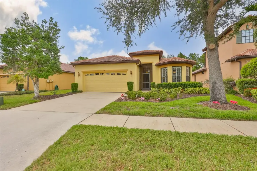147 Silver Falls Drive, Apollo Beach, FL 33572 - #2