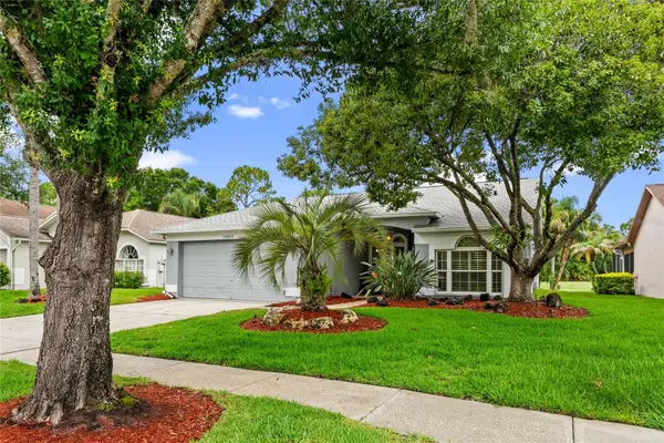 12823 Royal George Avenue, ODESSA, FL 33556
