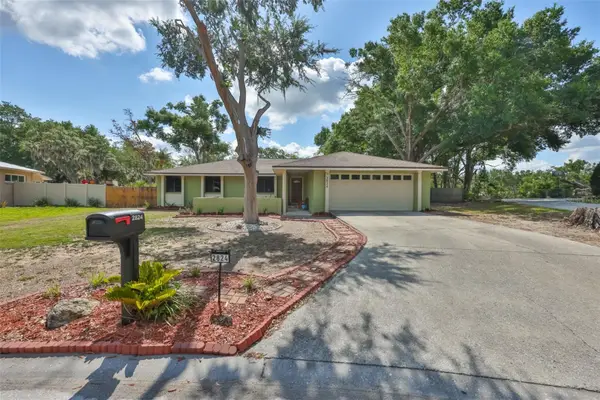 2824 Bellwood Drive, BRANDON, FL 33511