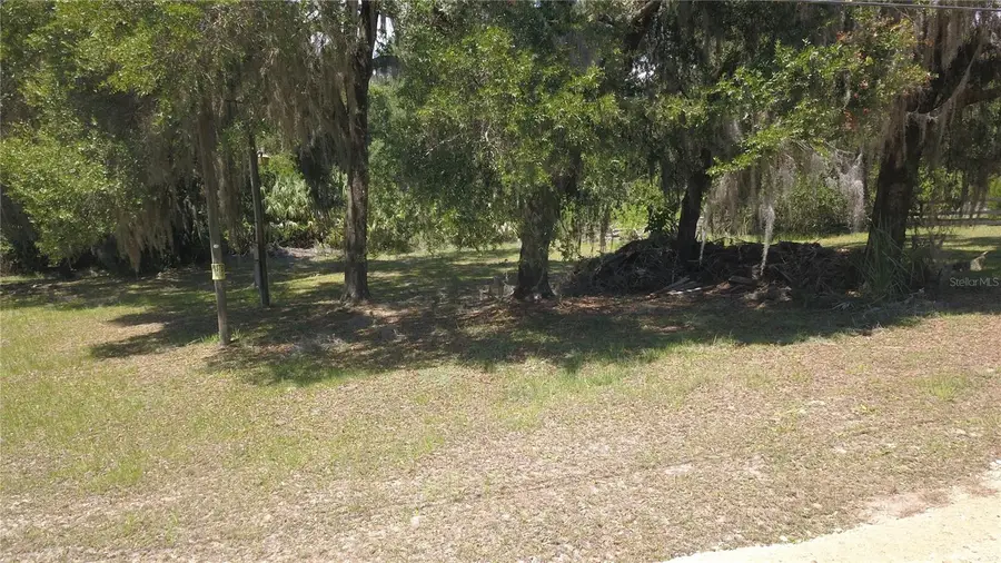 11333 SE 202nd Lane, Inglis, FL 34449 - #2