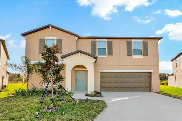 13647 Wild Ginger Street, RIVERVIEW, FL 33579