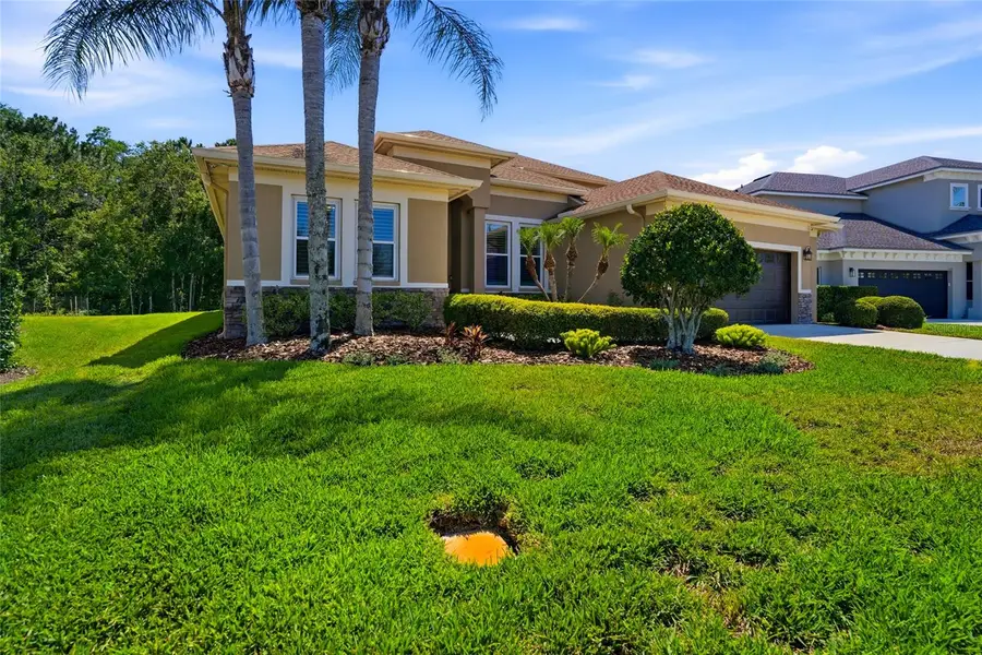 3320 Grassglen Place, Wesley Chapel, FL 33544 - #2