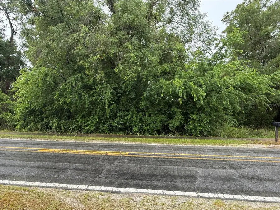 34184 Ridge Manor Blvd, Dade City, FL 33523 - #2