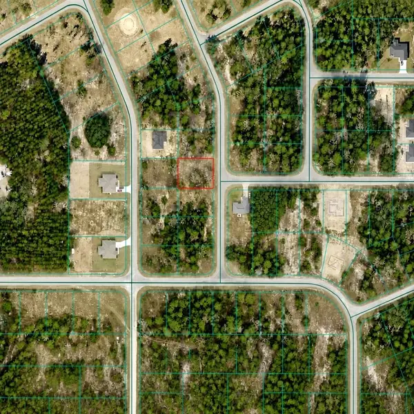 Fisher Run Track, OCKLAWAHA, FL 32179